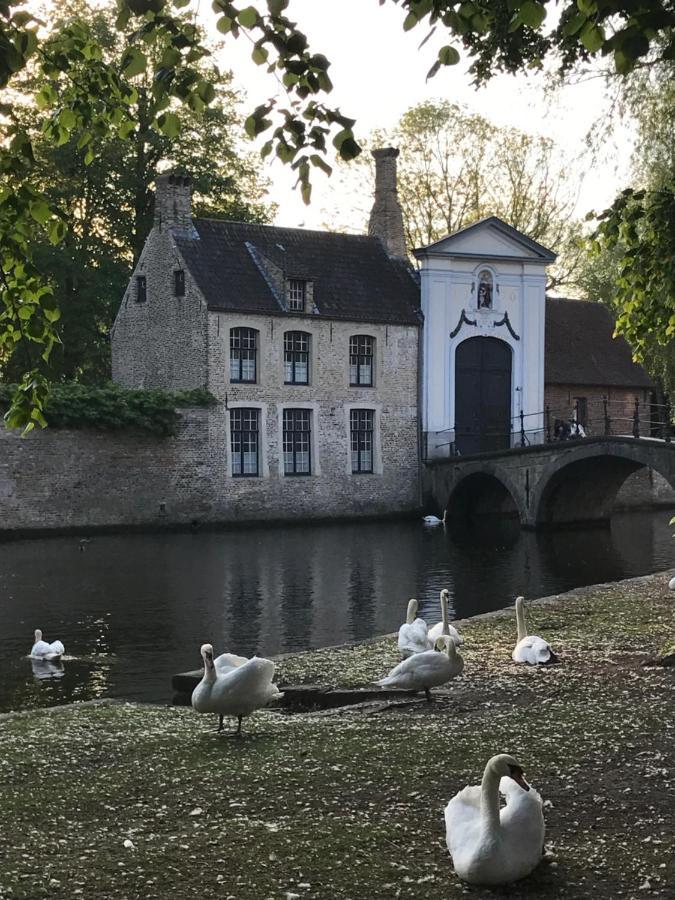 Splinternieuwe In Oud Bankgebouw Vakantiehuis Brugge